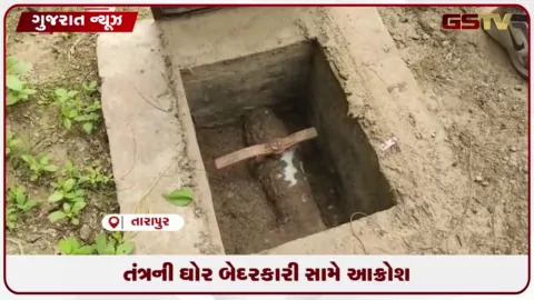 VIDEO: આણંદના તારાપુરમાં ઝાડા-ઉલટીનો કહેર, મોરજ ગામમાં ૧૭ સ્થળે પાણીની લાઈનો લીકેજ
