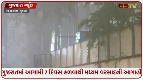 VIDEO: ગુજરાતમાં આગામી 7 દિવસ હળવાથી મધ્યમ વરસાદની આગાહી; સૌરાષ્ટ્ર-કચ્છમાં 27% ઘટ સાથે ખેંચ યથાવત