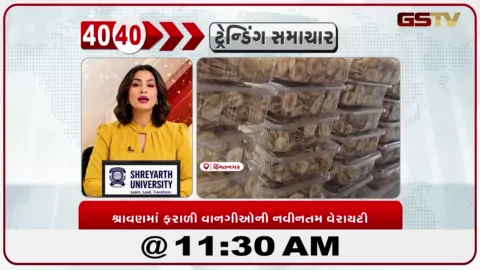 VIDEO: શ્રાવણમાં ઉપવાસીઓ માટે ફરાળી વાનગીઓની અવનવી વેરાયટી