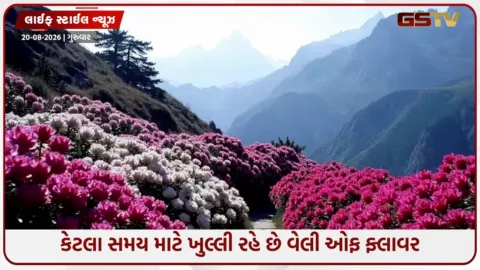 VIDEO: ઉત્તરાખંડમાં વેલી ઓફ ફ્લાવરની મુલાકાત લેવાનો શ્રેષ્ઠ સમય કયો છે? નોટ કરી લો વિગતો