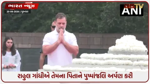 VIDEO: કોંગ્રેસ નેતા રાહુલ ગાંધીએ ભૂતપૂર્વ વડા પ્રધાન રાજીવ ગાંધીને તેમની જન્મજયંતિ પર પુષ્પાંજલિ અર્પણ કરી