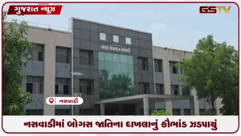 VIDEO: નસવાડીમાં બોગસ જાતિના દાખલાનું કૌભાંડ ઝડપાયું