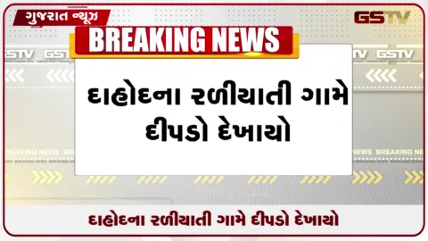 VIDEO: દાહોદ નજીક અર્બન હોસ્પિટલ પાછળ દીપડો દેખાતા ગ્રામજનોમાં ફાળ, વનવિભાગ એલર્ટ