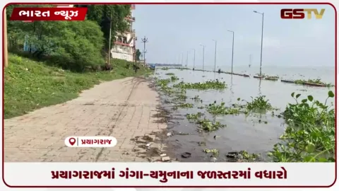 VIDEO: પ્રયાગરાજમાં ગંગા-યમુનાના જળસ્તરમાં વધારો