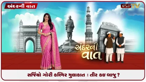 VIDEO: અમેરિકાના ભારતસ્થિત રાજદૂત સર્જિયો ગોરીની કશ્મીર મુલાકાત: આ તીરથી બે નિશાન!