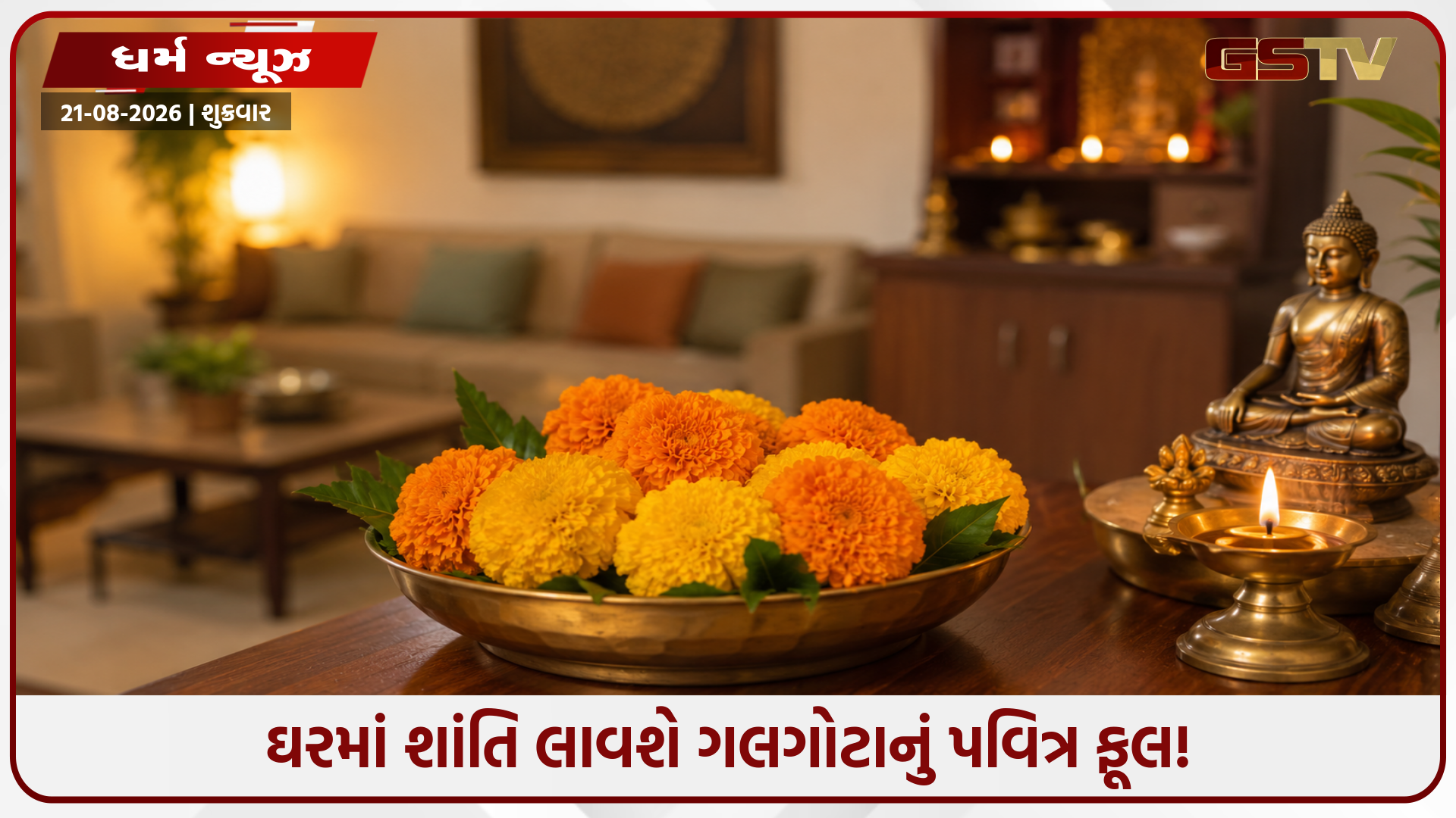સુખ-સમૃદ્ધિ જ નહીં, ઘરનો તણાવ પણ ગાયબ કરશે ગલગોટાનું ફૂલ! જાણો ચમત્કારી વાસ્તુ નિયમો