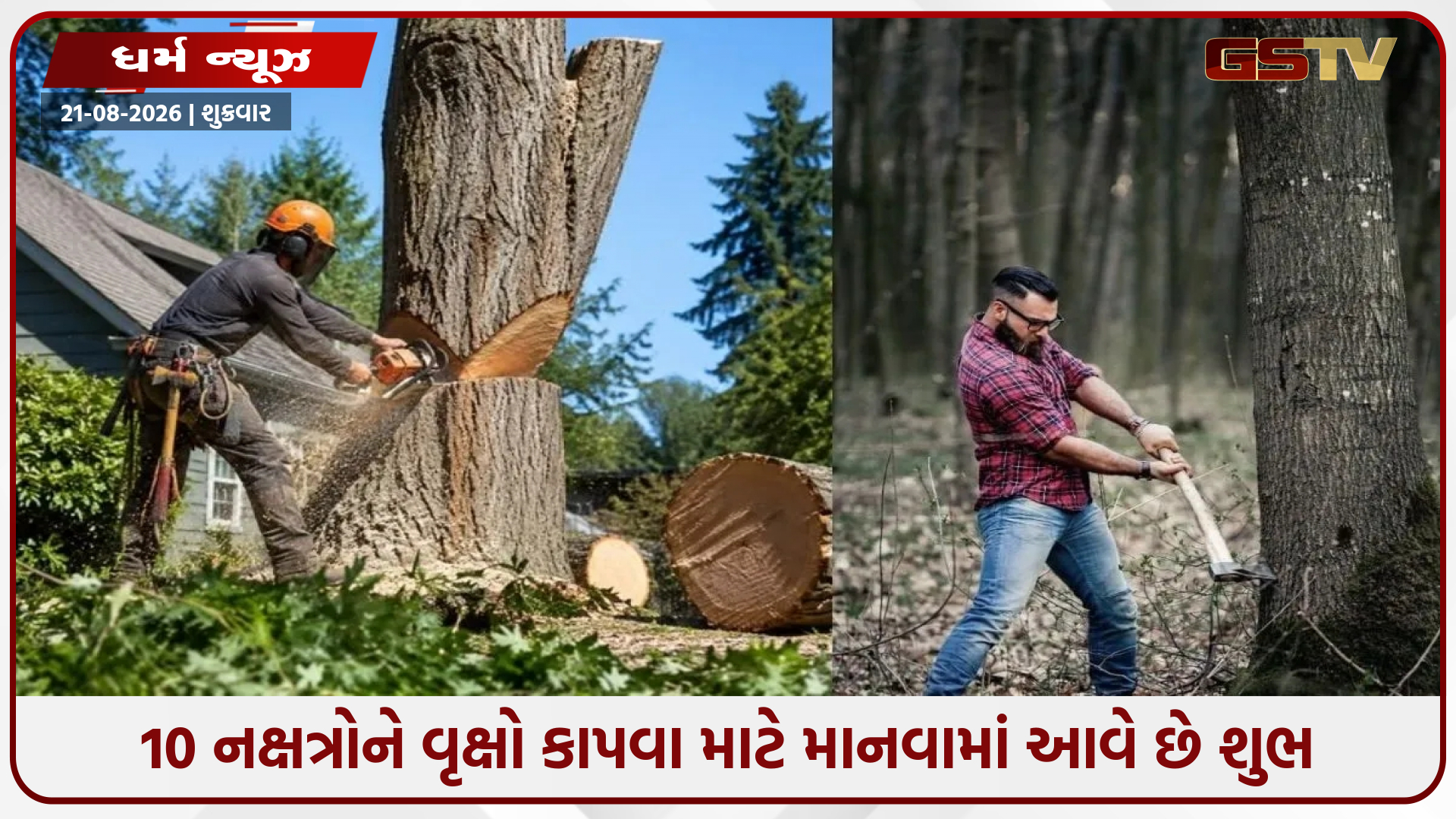 સૂકુ વૃક્ષ કાપતા પહેલા વાસ્તુના નિયમો જાણો, આ હેતુ માટે આ 10 નક્ષત્રોને માનવામાં આવે છે શુભ