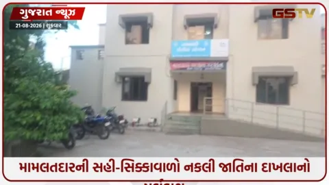 VIDEO: નસવાડીમાં નકલી જાતિના દાખલાનો પર્દાફાશ, બે શખ્સો સામે પોલીસ ફરિયાદ
