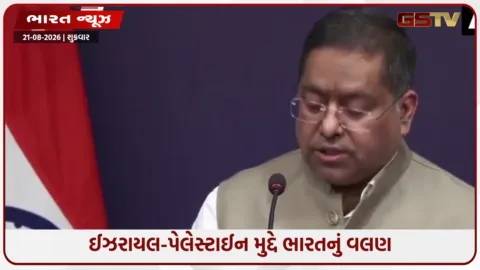 VIDEO: ઈઝરાયલ-પેલેસ્ટાઈન મુદ્દે 'ટુ-સ્ટેટ સોલ્યુશન'નું સમર્થન અને ભારત-ચીન સરહદી વેપાર અંગે વિદેશ મંત્રાલયનું મોટું નિવેદન