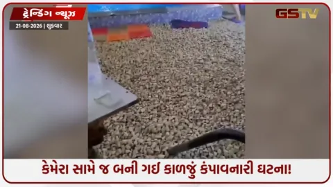 VIDEO: સોશિયલ મીડિયા ફેમ બનવાની ઘેલછા પડી ભારે: સ્વિમિંગ પૂલના કિનારે જોરદાર પટકાયો યુવક, દર્દનાક વીડિયો વાયરલ