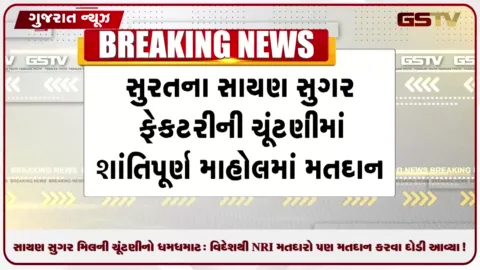 VIDEO: સાયણ સુગર મિલની ચૂંટણીનો ધમધમાટ: વિદેશથી NRI મતદારો પણ મતદાન કરવા દોડી આવ્યા!