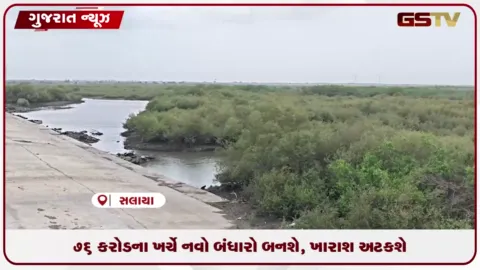 VIDEO: સલાયામાં ₹76 કરોડના ખર્ચે બનશે નવો બંધારો: 11 ગામોને મળશે મીઠું પાણી, ખારાશ અટકશે