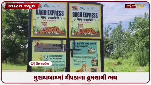 VIDEO: મુરાદાબાદમાં દીપડાના હુમલાથી ભય