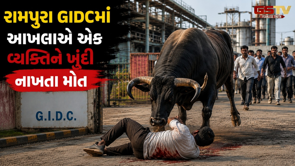 ધોળકાના રામપુરા પાસે આખલાનો આતંક, હુમલામાં એક શખ્સનું મોત