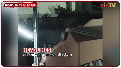 VIDEO: HEADLINE_10.00 AM/ માળીયા હાટીનામાં દીપડાનો ખોફ, શંખેશ્વરમાં દેશીદારૂની ભઠ્ઠી ઝડપાઇ, સ્થાપના પહેલા જ ગણેશજીની મૂર્તિ પડી