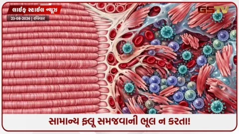 VIDEO: સ્વાઇન ફ્લૂ બન્યો જીવલેણ! જાણો તેના લક્ષણો અને બચવાના સરળ ઉપાય