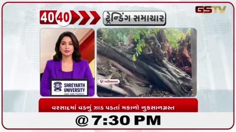 VIDEO: News 40-40/વરસાદમાં વડનું ઝાડ પડતાં મકાનો નુકસાનગ્રસ્ત