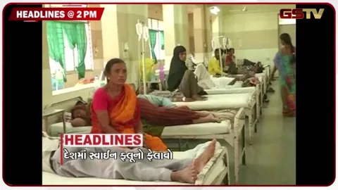 VIDEO: HEADLINE_02.00 PM / દેશમાં સ્વાઈન ફ્લુનો ફેલાવો, તહેવાર સમયે આરોગ્ય વિભાગની તપાસ