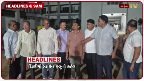 VIDEO: HEADLINE 9.00 AM /  દિલ્હીમાં સ્વાઈન ફ્લૂનો કહેર, 6 વર્ષ પછી 35 કરોડના ખર્ચે સાની ડેમનું રિપેરિંગ પૂર્ણ, શ્રાવણનો બીજો સોમવાર