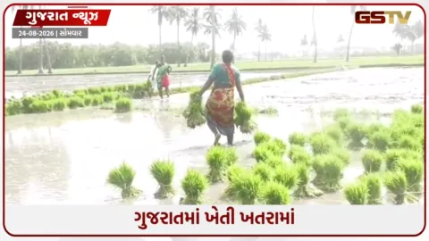 VIDEO: Gujaratમાં ખાદ્ય સુરક્ષા પર મોટો ખતરો; 2.28 લાખ હેક્ટર ખેતીલાયક જમીન ઘટી, ખેડૂતો થયા લાચાર