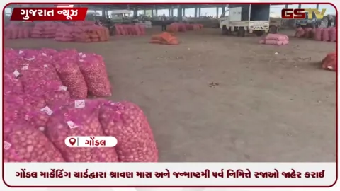 VIDEO: ગોંડલ માર્કેટિંગ યાર્ડ દ્વારા શ્રાવણ માસ અને જન્માષ્ટમી પર્વ નિમિત્તે રજાઓ જાહેર કરાઈ