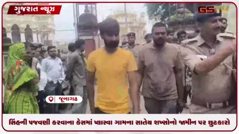 VIDEO: જૂનાગઢ: સિંહની પજવણી કરવાના કેસમાં પ્લાસ્વા ગામના સાતેય શખ્સોનો જામીન પર છુટકારો
