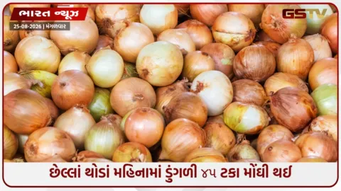 VIDEO: મધ્યમવર્ગને પડતા પર પાટું, ખાંડ બાદ ડુંગળી મોંઘીદાટ, સ્થિતિ નહીં સુધરે તો ભાવ રૂ. ૮૦-૧૦૦ સુધી પહોંચવાની આશંકા