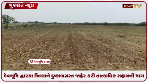 VIDEO: દેવભૂમિ દ્વારકા જિલ્લાને દુષ્કાળગ્રસ્ત જાહેર કરી તાત્કાલિક સહાયની માગ