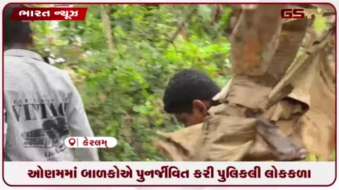 VIDEO: ઓણમમાં બાળકોએ પુનર્જીવિત કરી પુલિકલી લોકકળા