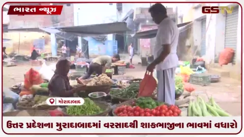 VIDEO: ઉત્તર પ્રદેશના મુરાદાબાદમાં વરસાદથી શાકભાજીના ભાવમાં વધારો