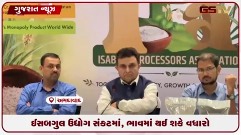 VIDEO: ગુજરાતમાં GST વિસંગતતાથી ઈસબગુલ ફેક્ટરીઓ બંધ, ભાવમાં મોટો વધારો થવાની શક્યતા