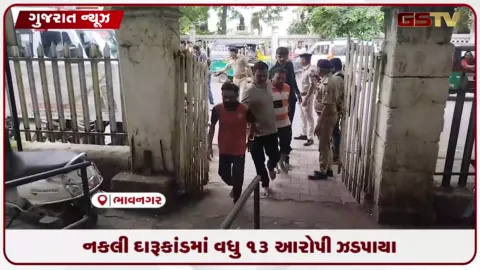 VIDEO: ભાવનગર નકલી દારૂકાંડમાં વધુ 13 આરોપીઓ ઝડપાયા, તમામના 10 દિસસના રિમાન્ડ મંજૂર