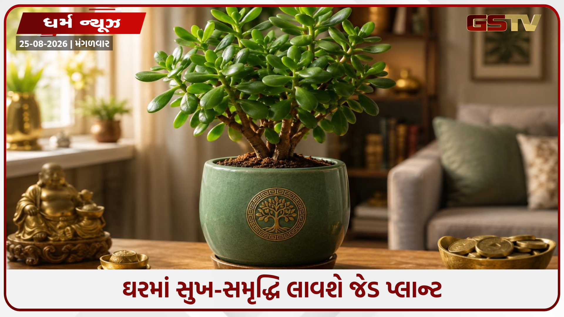 Vastu Tips / ઘરમાં સુખ-સમૃદ્ધિ લાવશે જેડ પ્લાન્ટ, જાણો કઈ દિશામાં રાખવો સૌથી વધુ શુભ