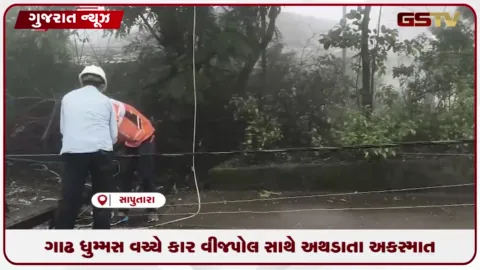 VIDEO: સાપુતારામાં ગાઢ ધુમ્મસ વચ્ચે કાર વીજપોલ સાથે અથડાતા અકસ્માત સર્જાયો