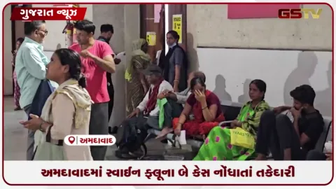 VIDEO: અમદાવાદમાં સ્વાઈન ફ્લૂના બે કેસ નોંધાતાં તકેદારી