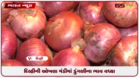 VIDEO: દિલ્હીની ઓખલા મંડીમાં ડુંગળીના ભાવ વધ્યા