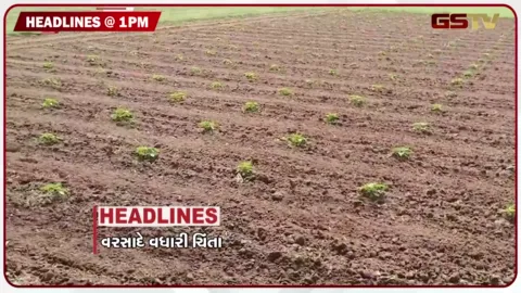 VIDEO: HEADLINE_ 1:00 PM/ વરસાદે ખેડૂતોની વધારી ચિંતા, ડુંગળીની આવક ઘટી, સુરતમાં  વકર્યો રોગચાળો