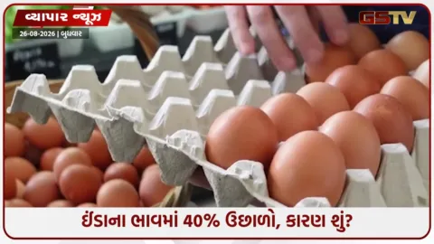 VIDEO: ઇથોનોલની અસરથી ઈંડા મોંઘા, હવે ચિકનના ભાવમાં પણ મોટો ઉછાળો આવશે?
