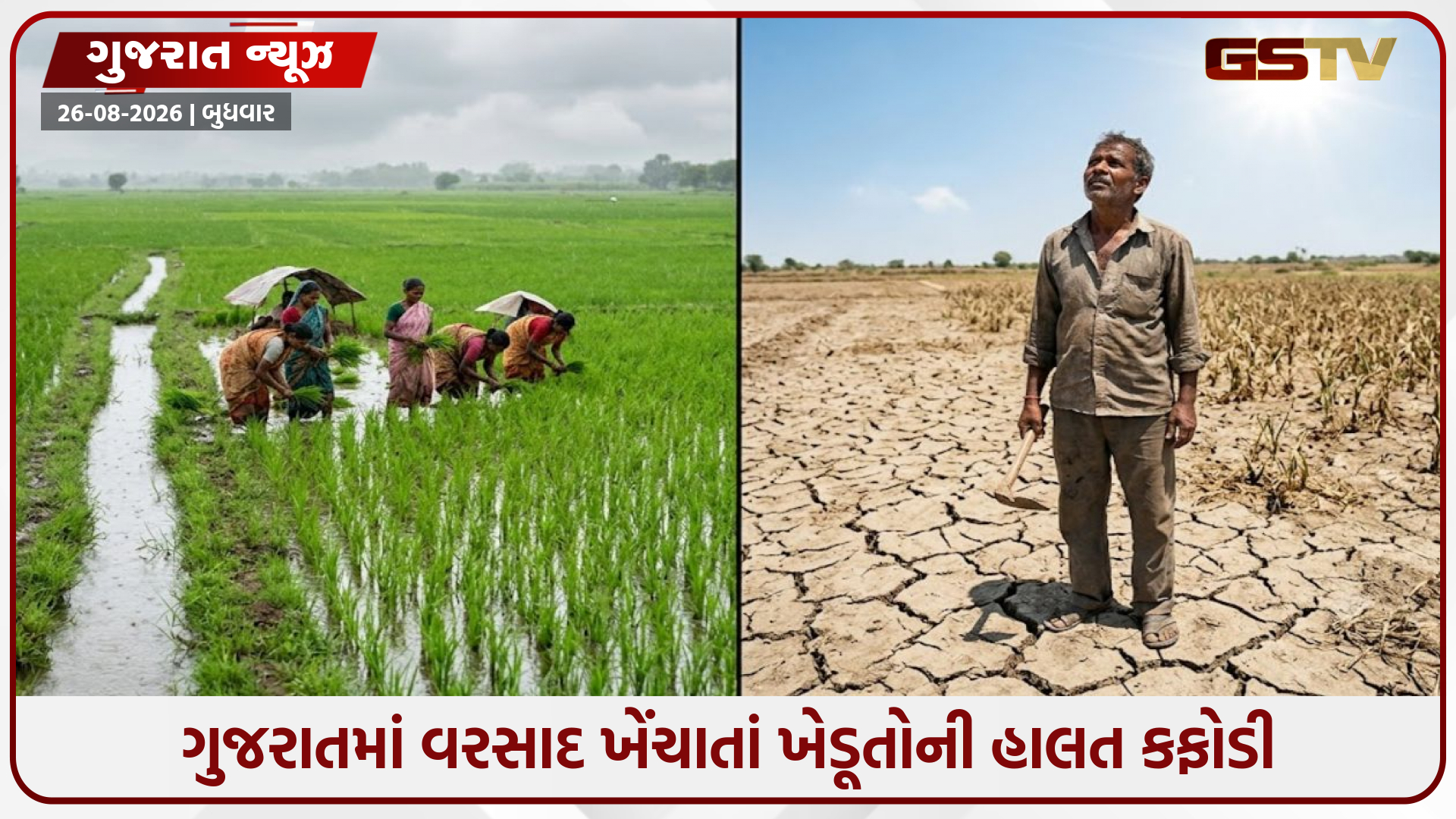 કચ્છ-સૌરાષ્ટ્રમાં વરસાદની 30% ઘટથી ખેડૂતો ચિંતિત: રાજ્યમાં ભારે વરસાદની શક્યતા નહિવત્
