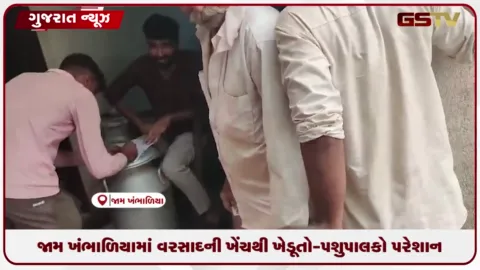 VIDEO: જામ ખંભાળિયામાં વરસાદની ખેંચથી ખેડૂતો-પશુપાલકો પરેશાન