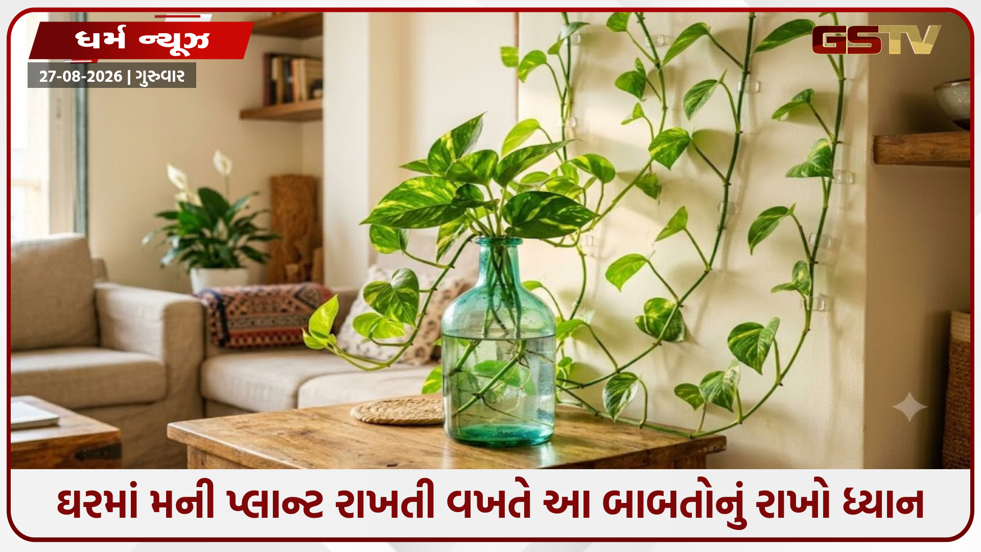 Vastu Tips / ઘરમાં મની પ્લાન્ટ રાખતી વખતે આ બાબતોનું રાખો ધ્યાન, જાણો કઈ બોટલ અને દિશા છે શ્રેષ્ઠ
