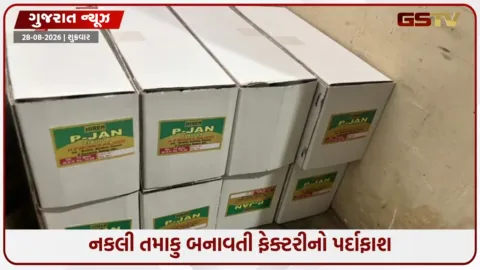 VIDEO: રાજકોટમાં નકલી તમાકુ બનાવતી ફેક્ટરી પકડાઈ, લાખોના મુદ્દામાલ સાથે બે આરોપીઓ સામે કાર્યવાહી