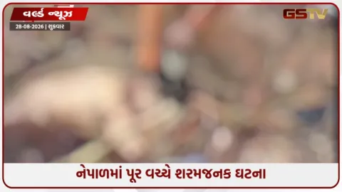 VIDEO: માનવતા થઈ શર્મસાર, નેપાળમાં પૂર વચ્ચે મૃત મહિલાના કાનમાંથી સોનાની બુટ્ટી ચોરવાનો વીડિયો વાયરલ