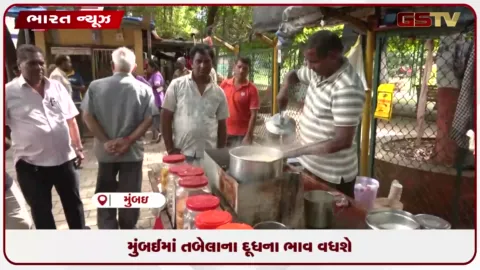 VIDEO: મુંબઈમાં તબેલાના દૂધના ભાવ વધશે