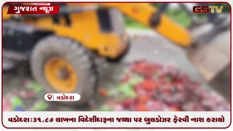 VIDEO: વડોદરા: ૩૧.૮૭ લાખના વિદેશી દારૂના જથ્થા પર બુલડોઝર ફેરવી નાશ કરાયો