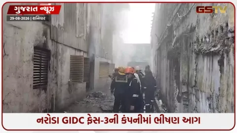 VIDEO: Ahmedabad / નરોડા GIDC ફેસ-3ની કંપનીમાં ભીષણ આગ, સદનસીબે જાનહાનિ ટળી