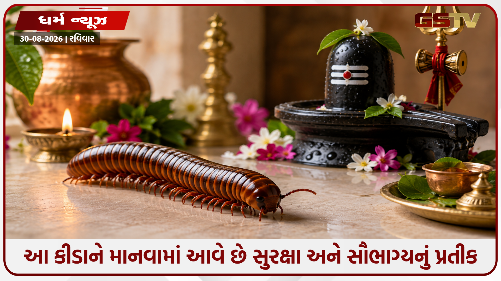 જો તમને શ્રાવણ મહિનામાં ઘરમાં આ કીડો દેખાય, તો સમજો કે ચમકવા જઈ રહ્યું છે તમારું ભાગ્ય