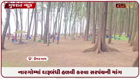 VIDEO: વલસાડના નારગોલ ગામના મહિલા સરપંચે દારૂબંધી હળવી કરવા મુખ્યમંત્રીને કરી રજૂઆત!