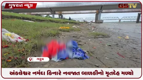 VIDEO: અંકલેશ્વરમાં નર્મદા કિનારેથી નવજાત બાળકીનો મૃતદેહ મળતાં ભારે ચકચાર