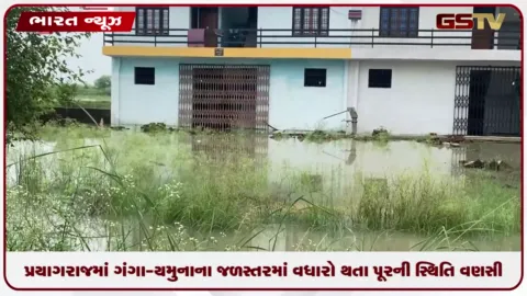 VIDEO: પ્રયાગરાજમાં ગંગા-યમુનાના જળસ્તરમાં વધારો થતા પૂરની સ્થિતિ વણસી, મુખ્ય માર્ગ ડૂબી જવાથી ૨૦ થી વધુ ગામોનો સંપર્ક કપાયો